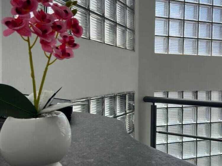 בית מלון כפרי Pousada Trip Inn Recife