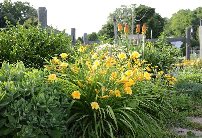 酒店 Red Cardinal Bed And Breakfast