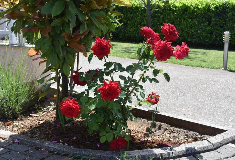 Hotel Guest House Regina Mundi