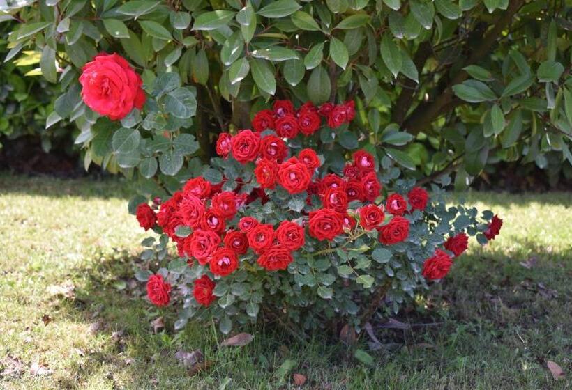 Hotel Guest House Regina Mundi