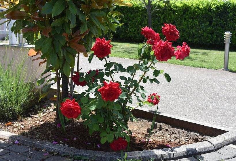 Hotel Guest House Regina Mundi