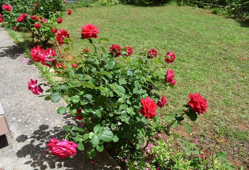 Hotel Guest House Regina Mundi