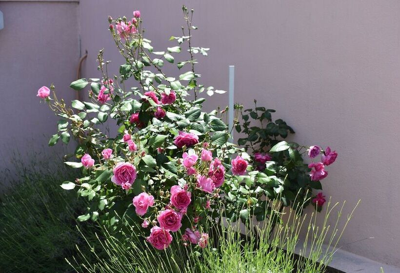 Hotel Guest House Regina Mundi