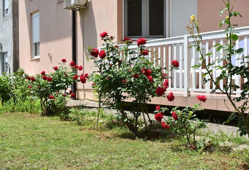 Hotel Guest House Regina Mundi