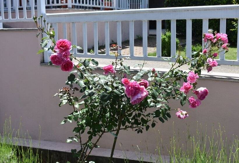 Hotel Guest House Regina Mundi