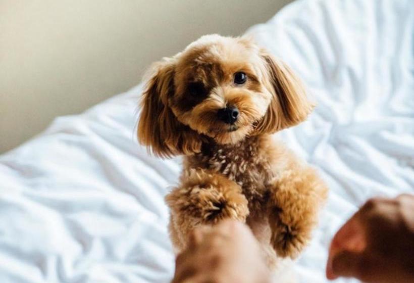 호텔 Riverside Tabi-ne