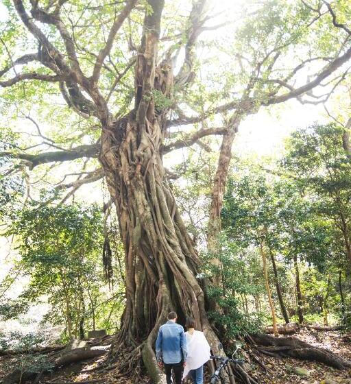 בית מלון כפרי Themana Village