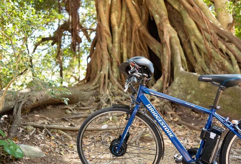 בית מלון כפרי Themana Village