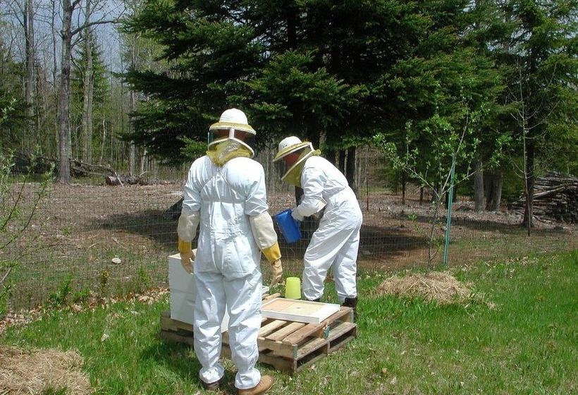 酒店 Three Pines Bed And Breakfast