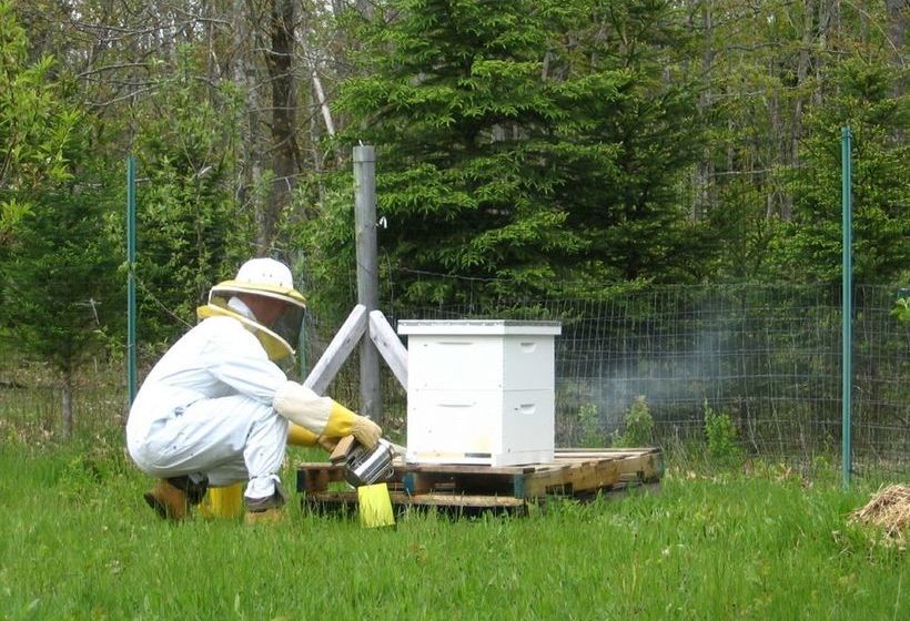 酒店 Three Pines Bed And Breakfast