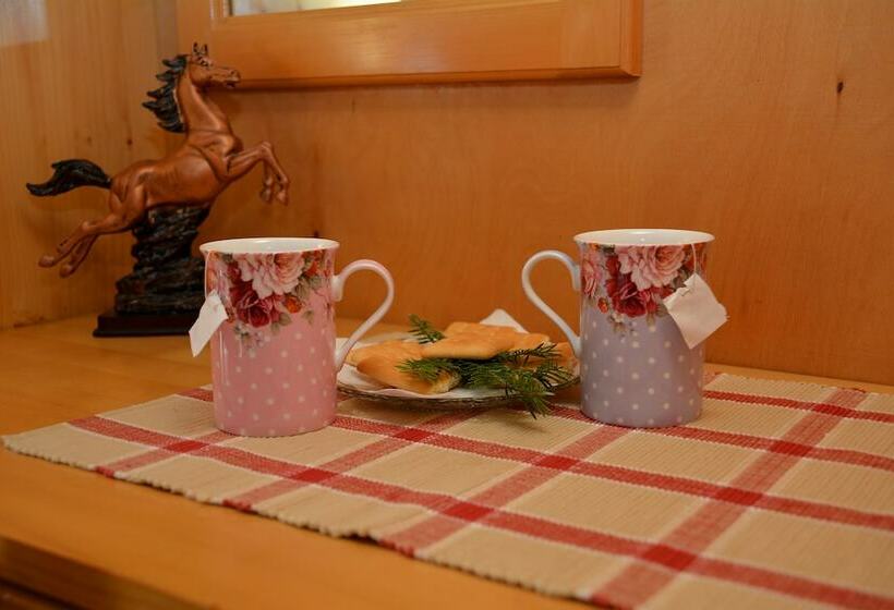 ホテル Trenchova Guest House