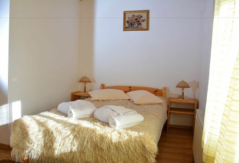 ホテル Trenchova Guest House