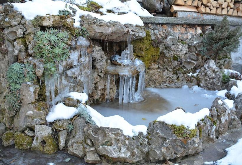 ホテル Trenchova Guest House