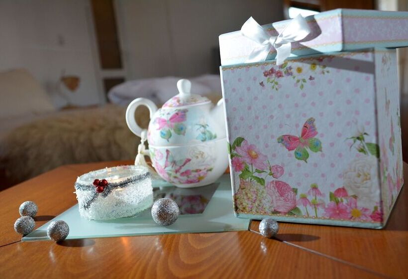 ホテル Trenchova Guest House