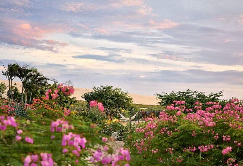 هتل Villa Jericoacoara  La Villa Group