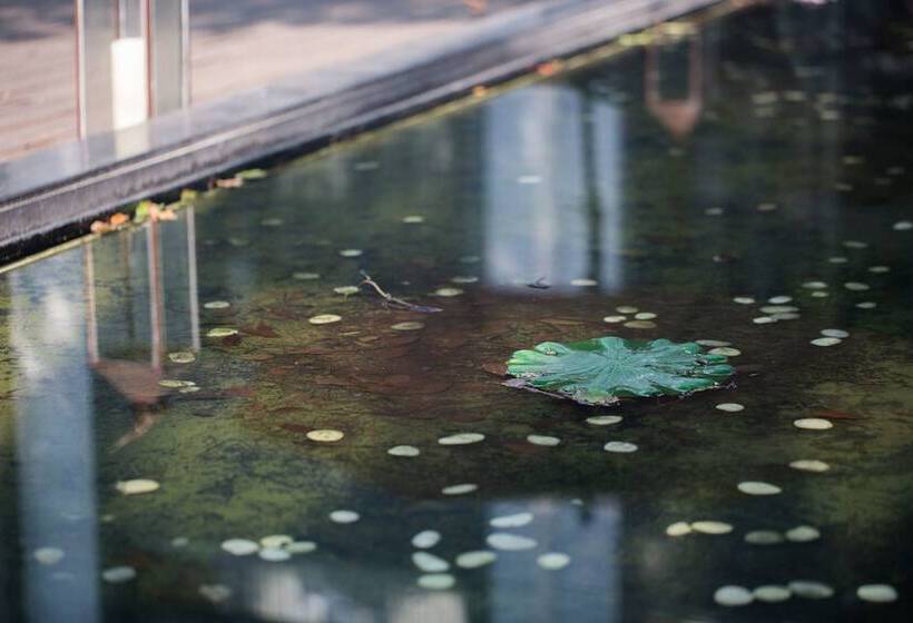 فندق Wuzhen Mingli