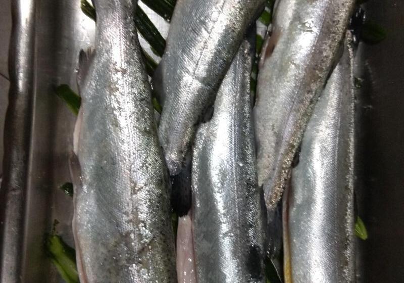 Roots Hotel & Wine Bar