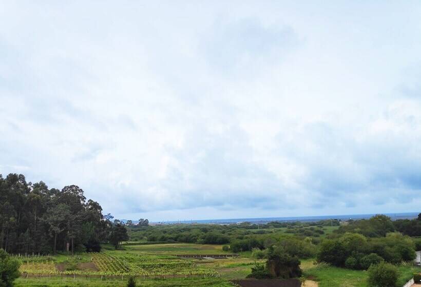 Apartamentos Revolta Sanxenxo 3000