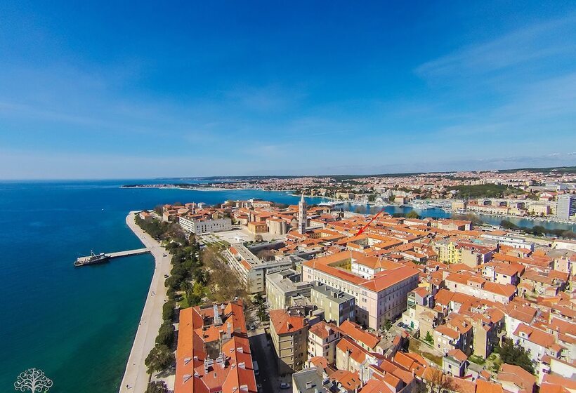 住宿加早餐 Apartments & Rooms Mareta Exclusive