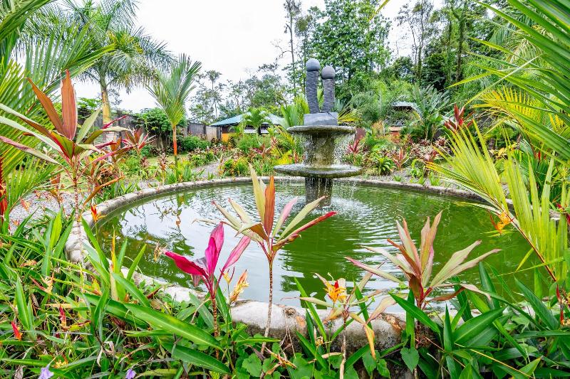 فندق Aunty Arenal Lodge