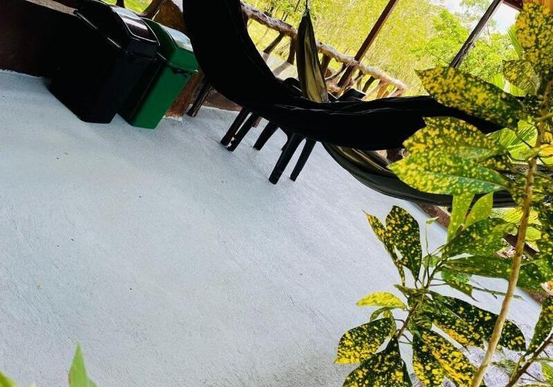 فندق Aunty Arenal Lodge