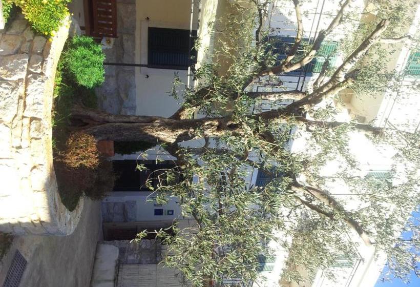 酒店 Casa Saina Rovinj