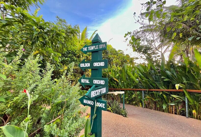 هتل Coco Grove Beach Resort, Siquijor Island