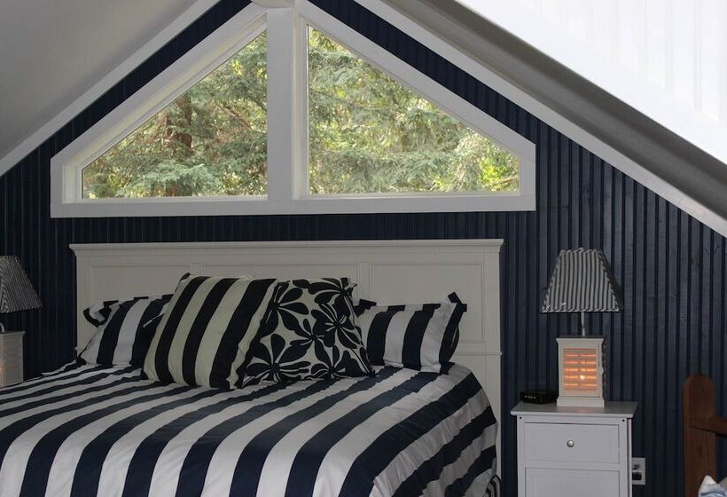 酒店 Daisy's Guest House