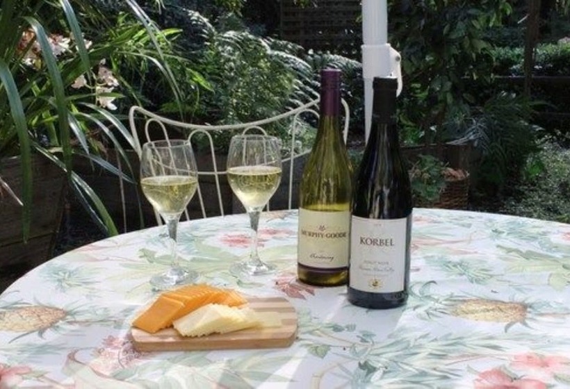 酒店 Daisy's Guest House