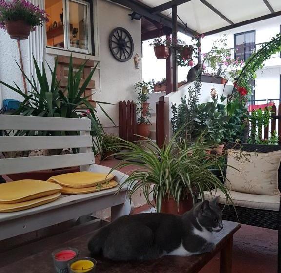 酒店 Estia Vasilis Manoli