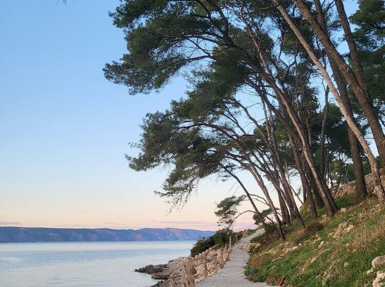 Отель Plava Laguna