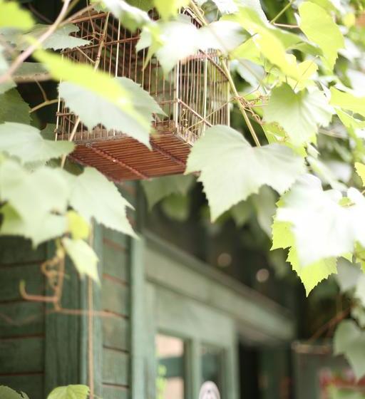 Hotel Harbin Kazy Int L Youth Hostel