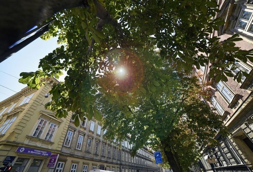 בית מלון כפרי Markiz