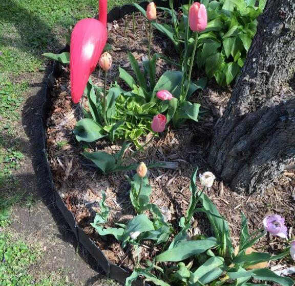 ホテル Mayberry Haven