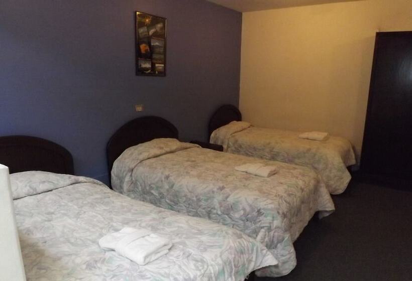 هتل Plaza Internacional