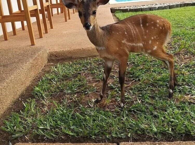 Отель Résidence Helios