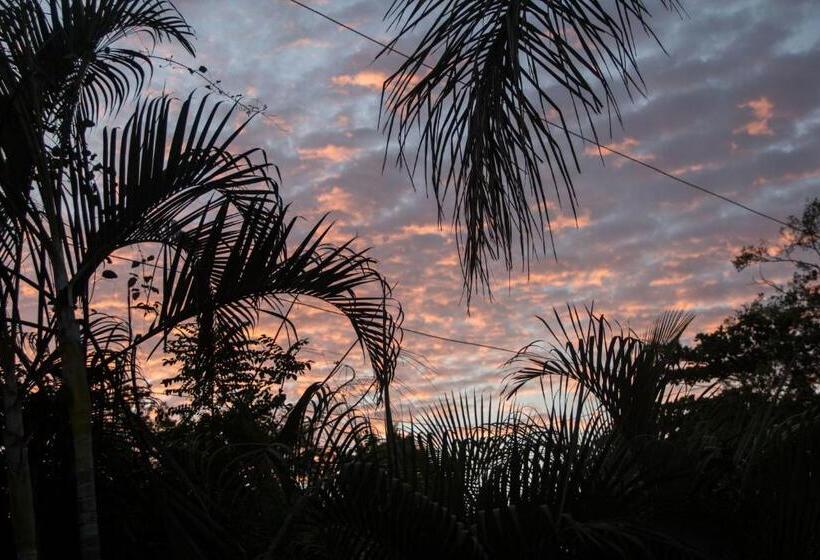 ホテル Tsunami Hostel