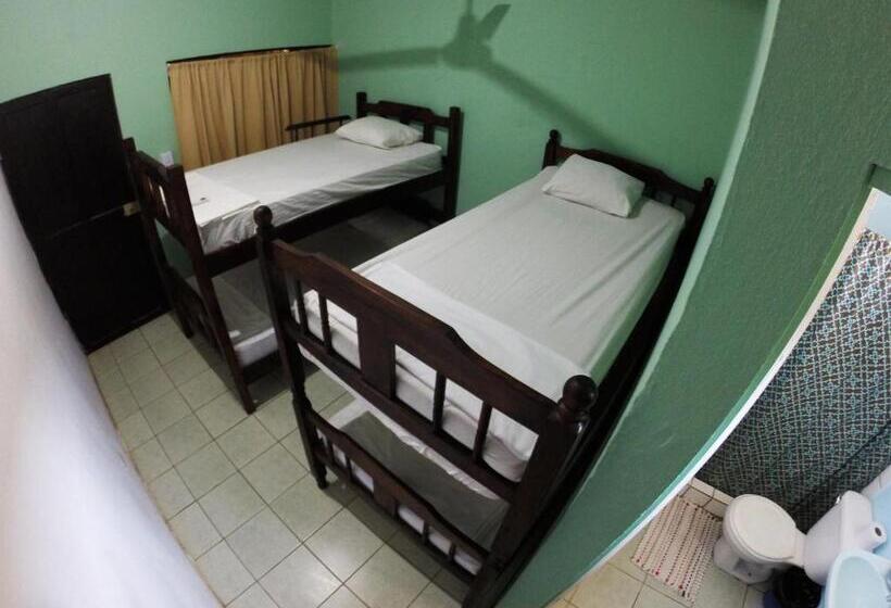 ホテル Tsunami Hostel