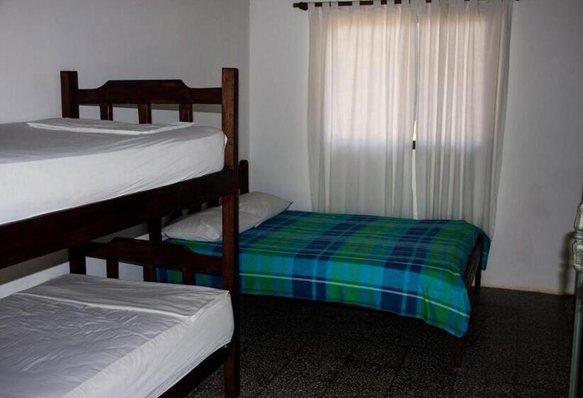 ホテル Tsunami Hostel