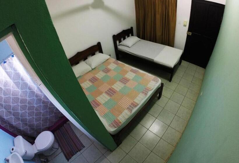 ホテル Tsunami Hostel