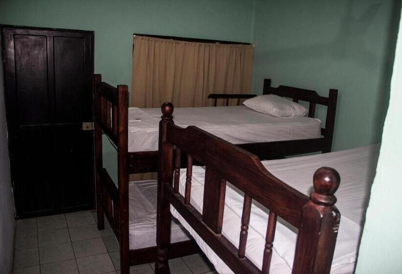 ホテル Tsunami Hostel