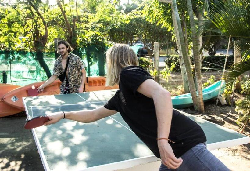 ホテル Tsunami Hostel