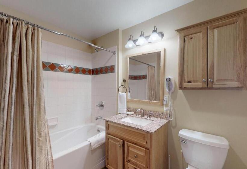 בית מלון כפרי Tucker Mountain Lodge 321