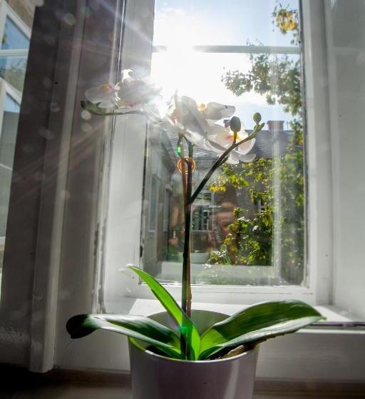 בית מלון כפרי Zagreb City Vibe Apartments & Rooms