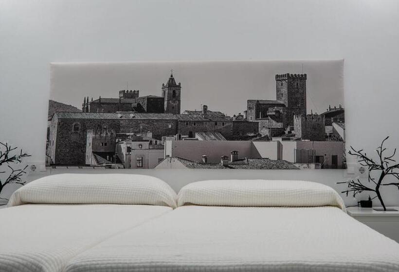 Apartamentos Turísticos Domus Seleqtia Plaza Mayor