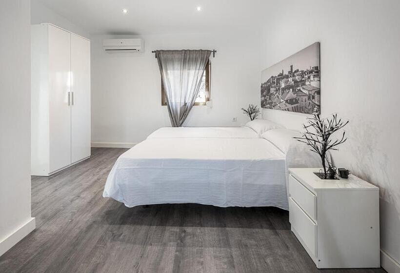 Apartamentos Turísticos Domus Seleqtia Plaza Mayor