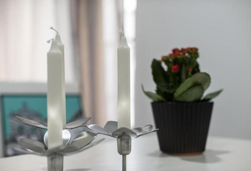 Apartamentos Turísticos Domus Seleqtia Plaza Mayor