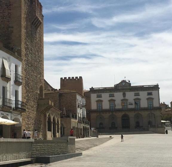 Apartamentos Turísticos Domus Seleqtia Plaza Mayor