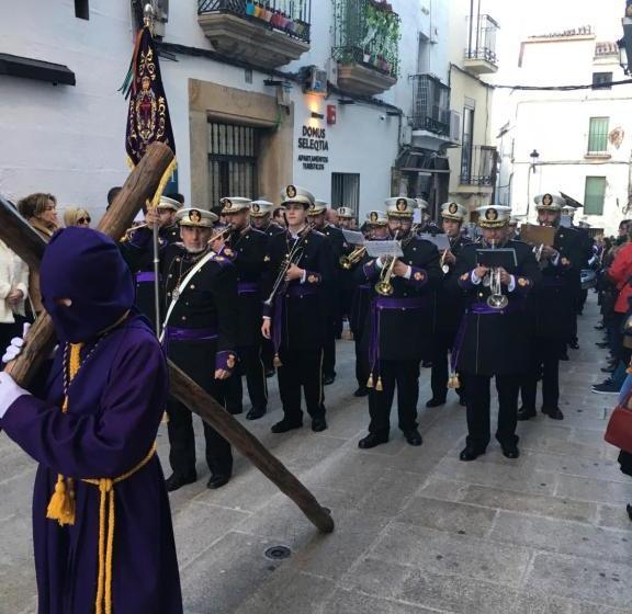 Apartamentos Turísticos Domus Seleqtia Plaza Mayor