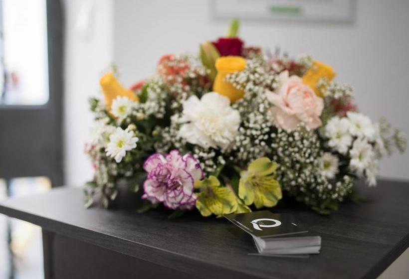 Apartamentos Turísticos Domus Seleqtia Plaza Mayor